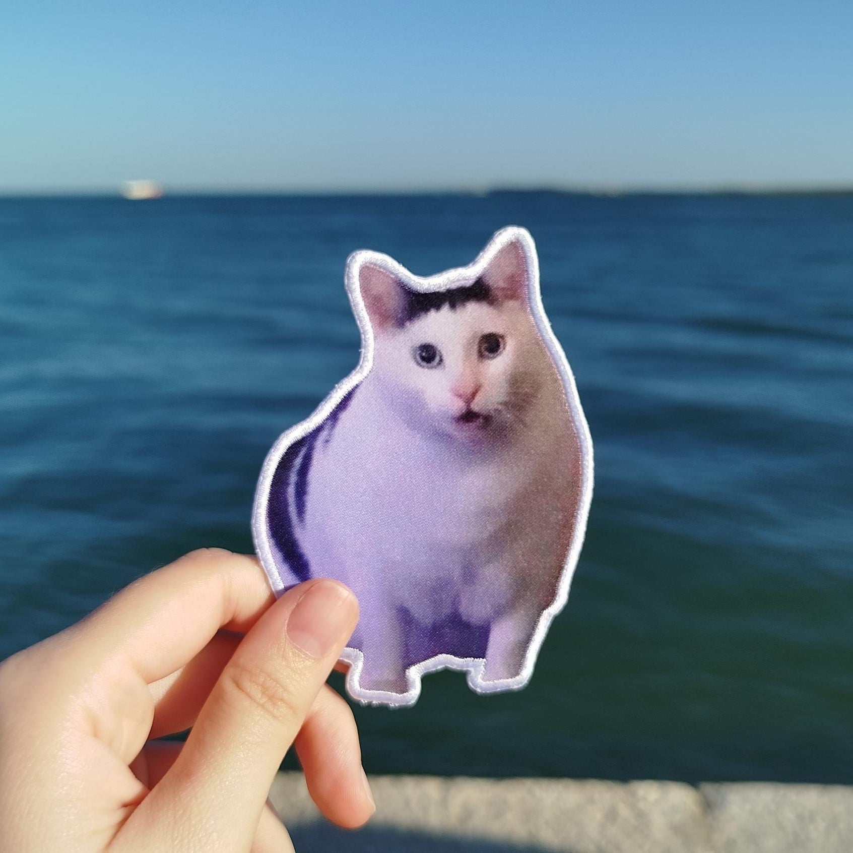 Patch "Huh Cat Meme"