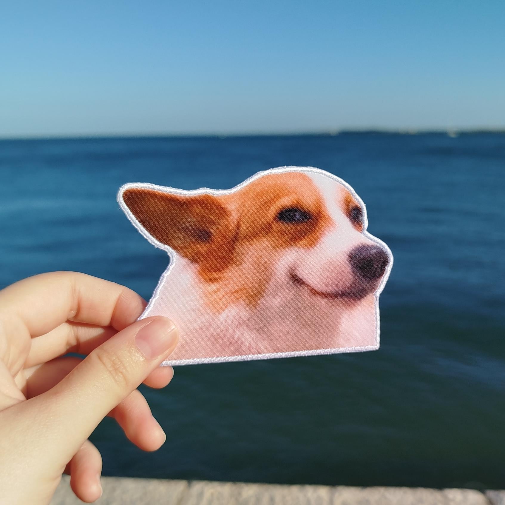 Patch "Smiling Dog Meme"