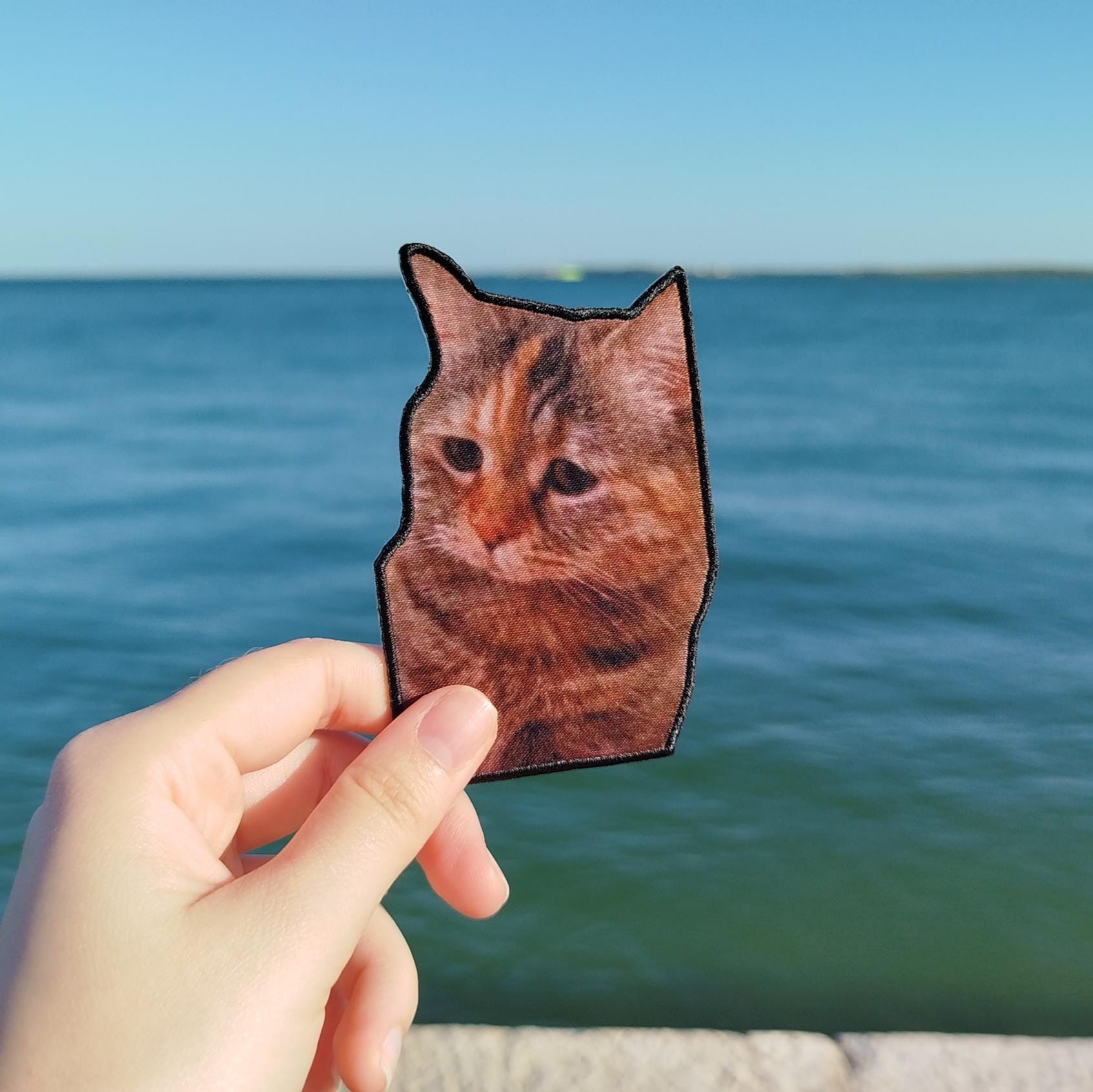 Patch "Sad Cat Meme"