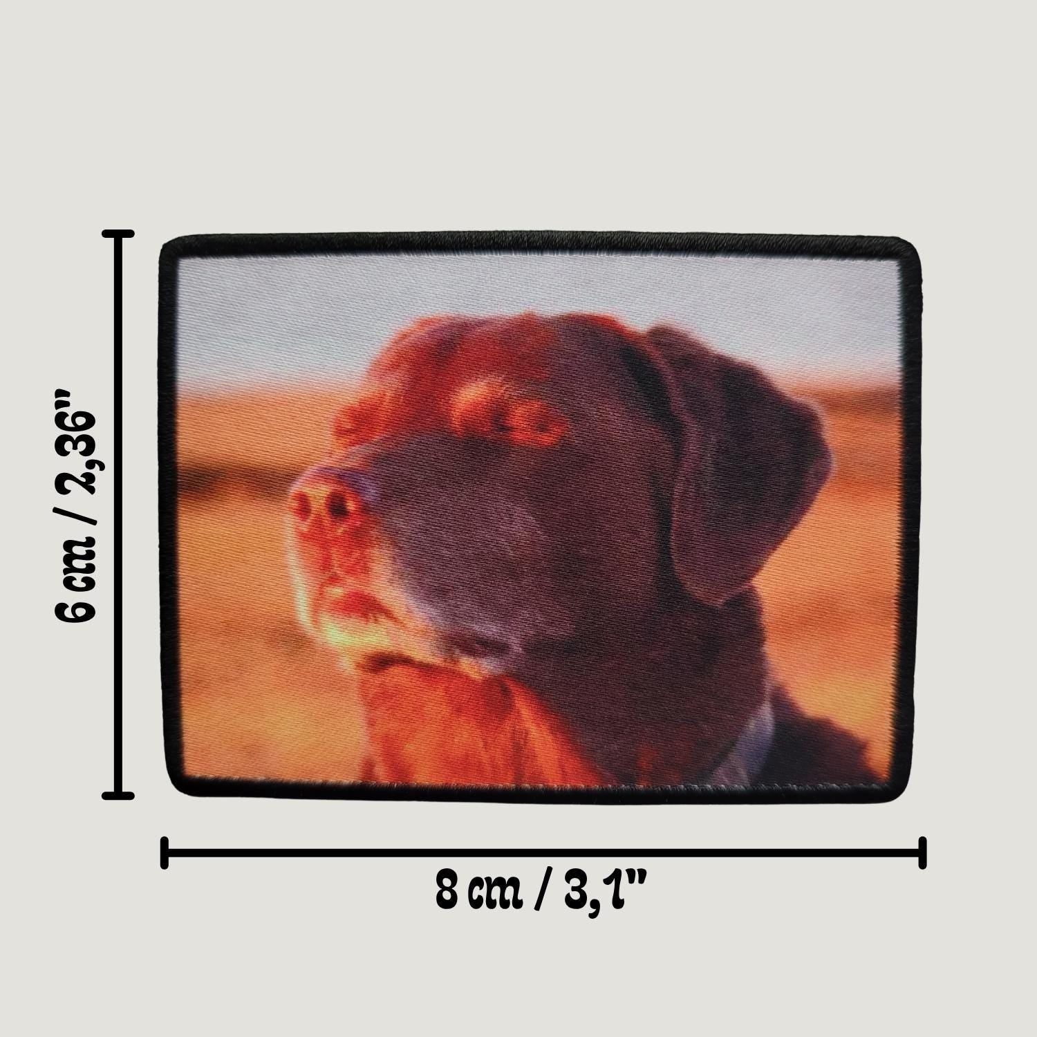 Patch "Cooked Dog Meme"