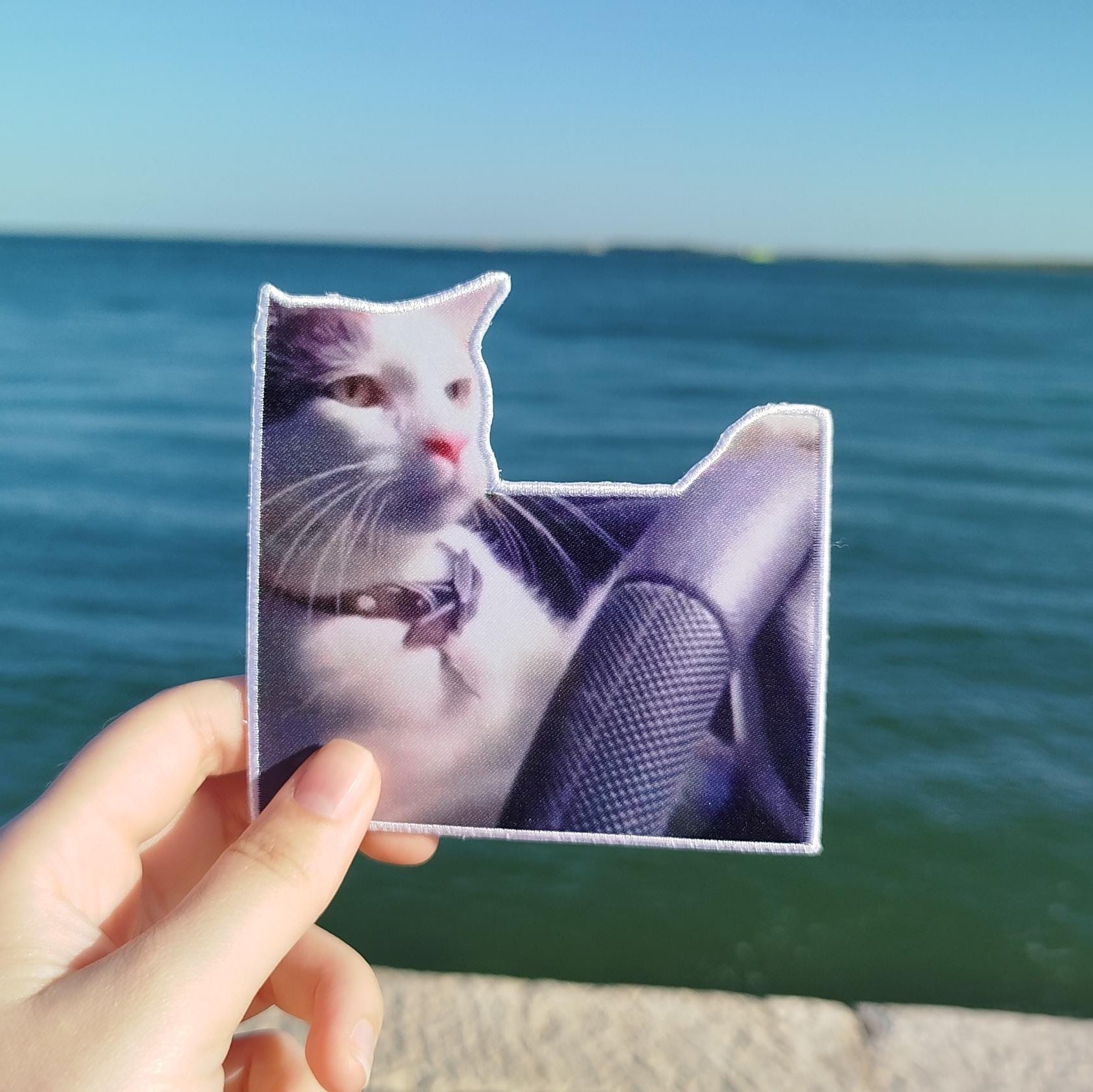 Patch "Driver Cat Meme"