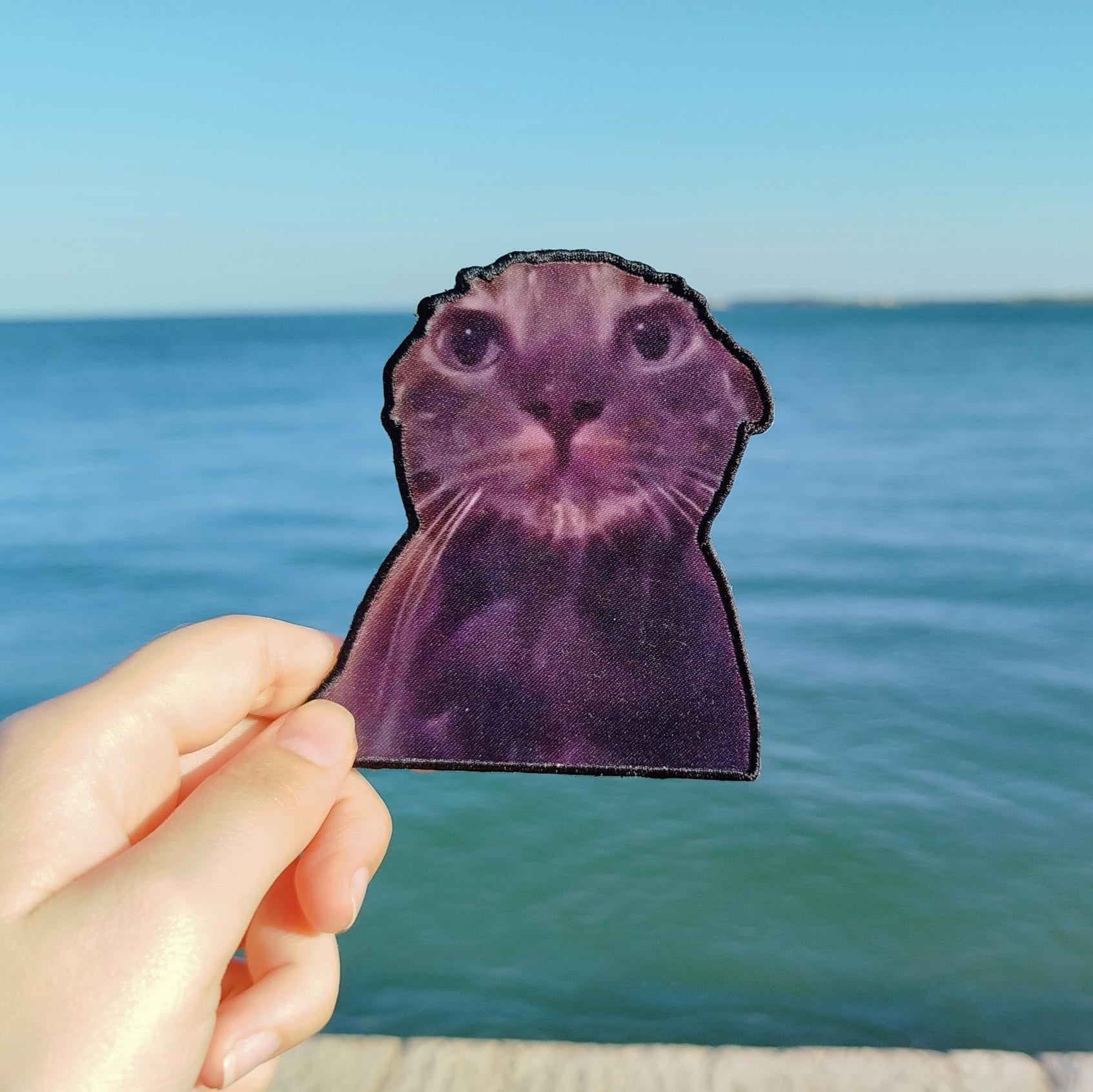 Patch "Wet Cat"