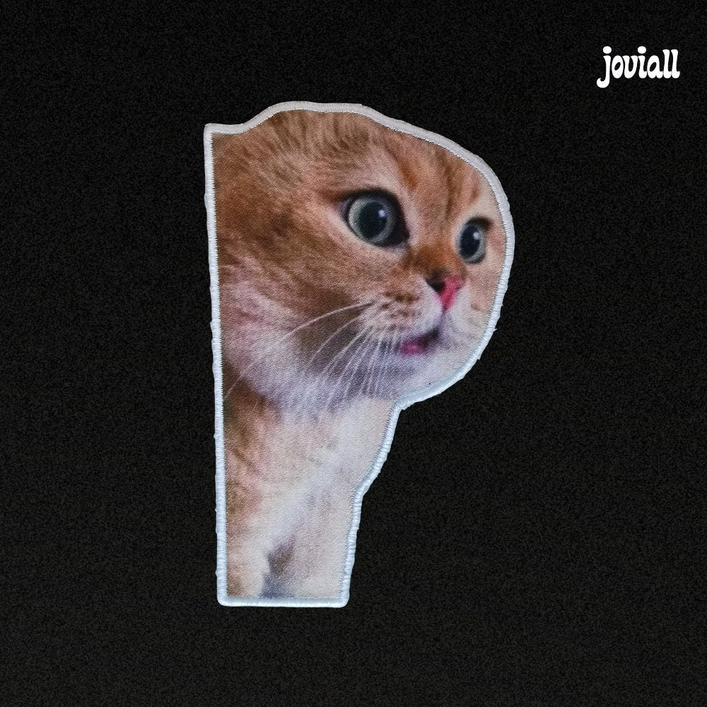 Patch "Meme talking cat"