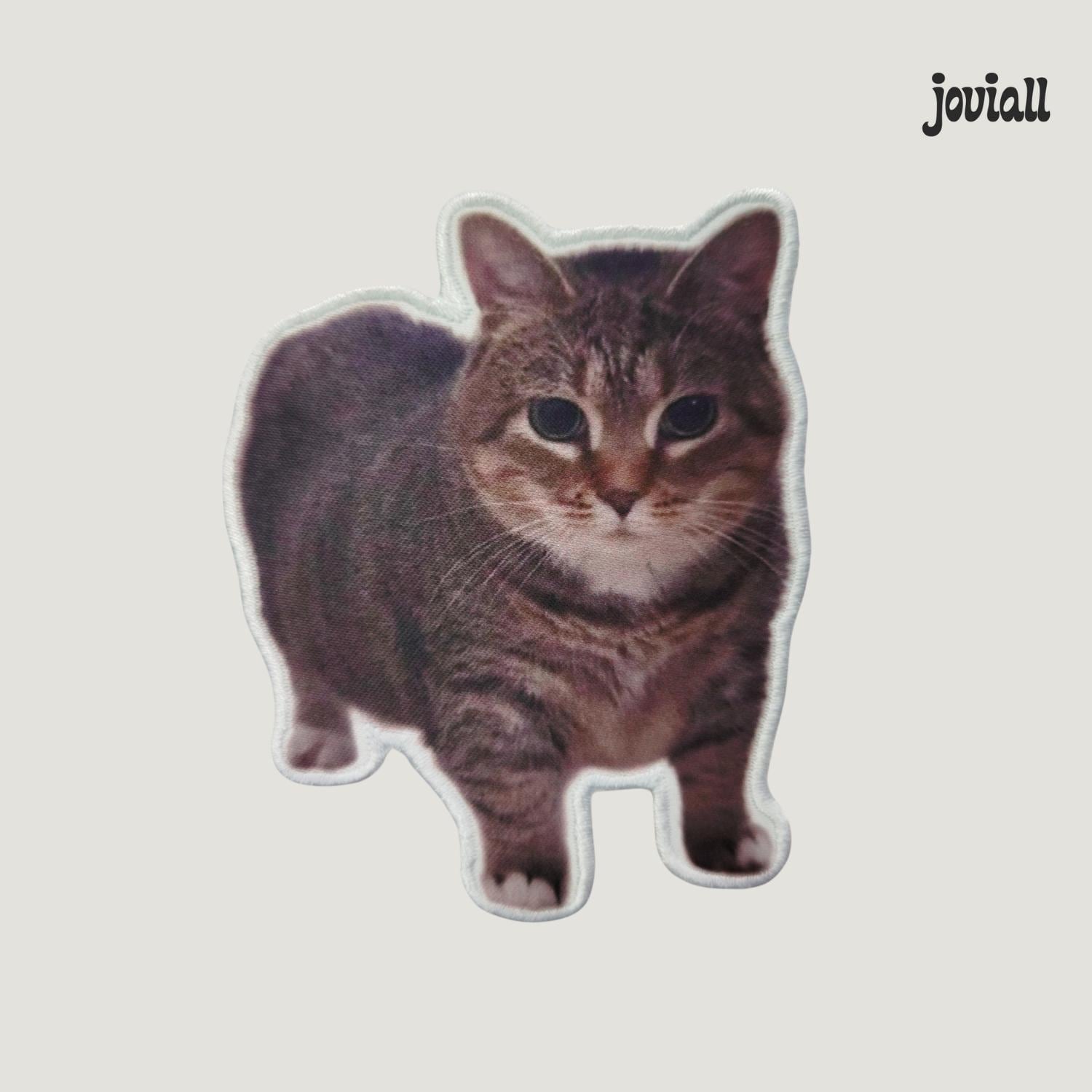 Patch "Spinning Cat Meme" (OIIA OIIA Cat)