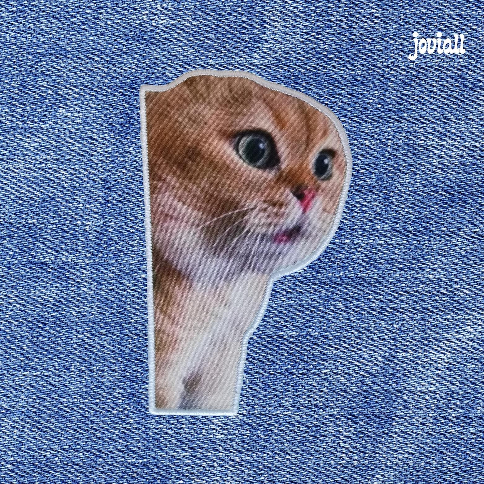 Patch "Meme talking cat"