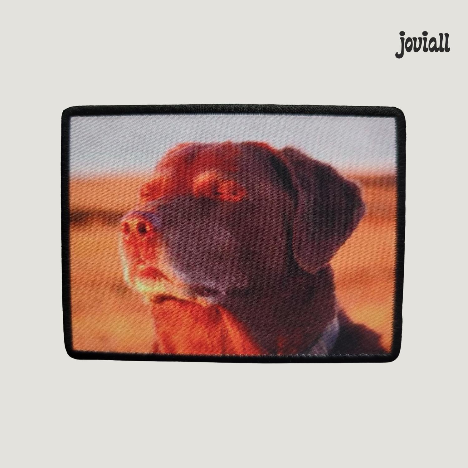 Patch "Cooked Dog Meme"