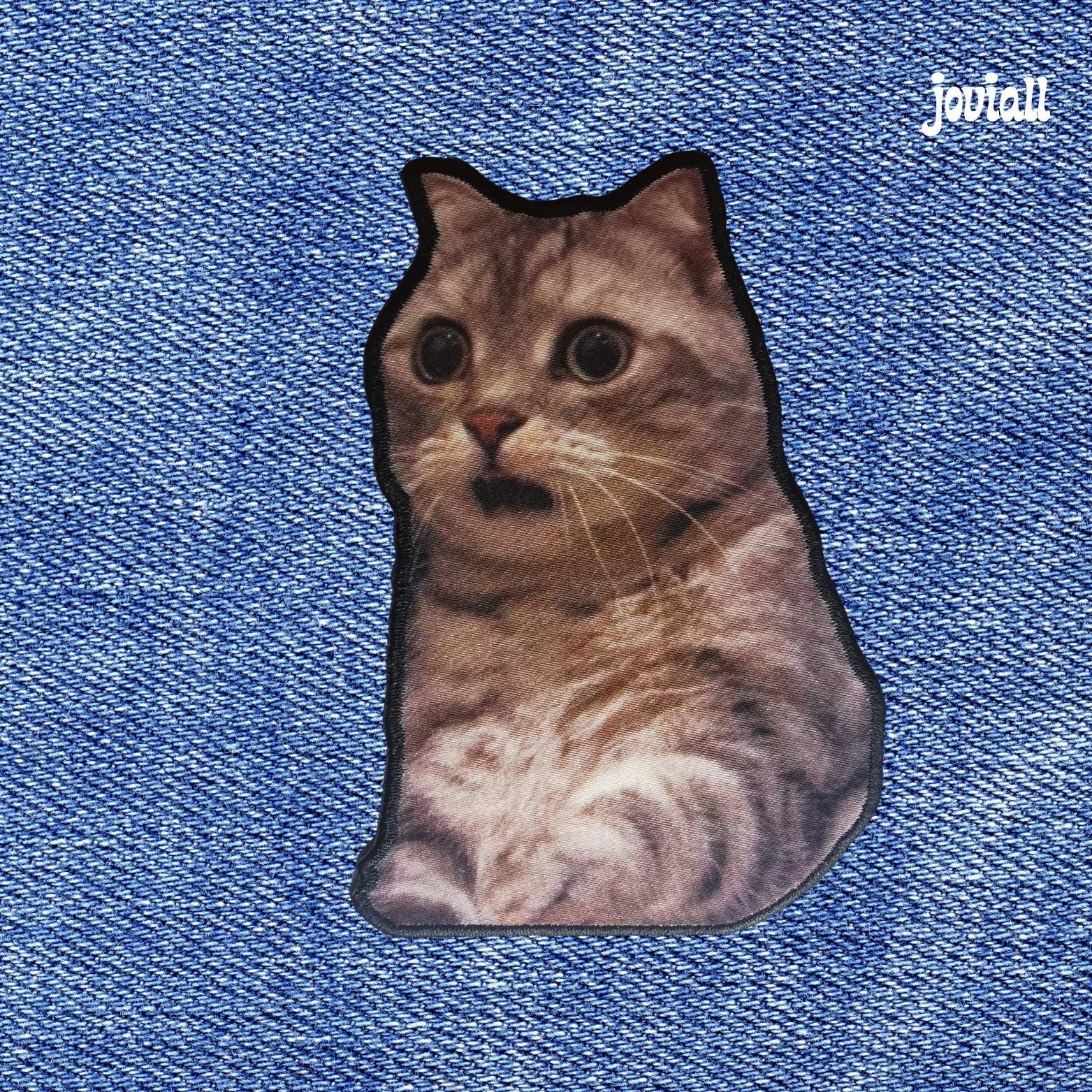 Patch "Amazed Cat"