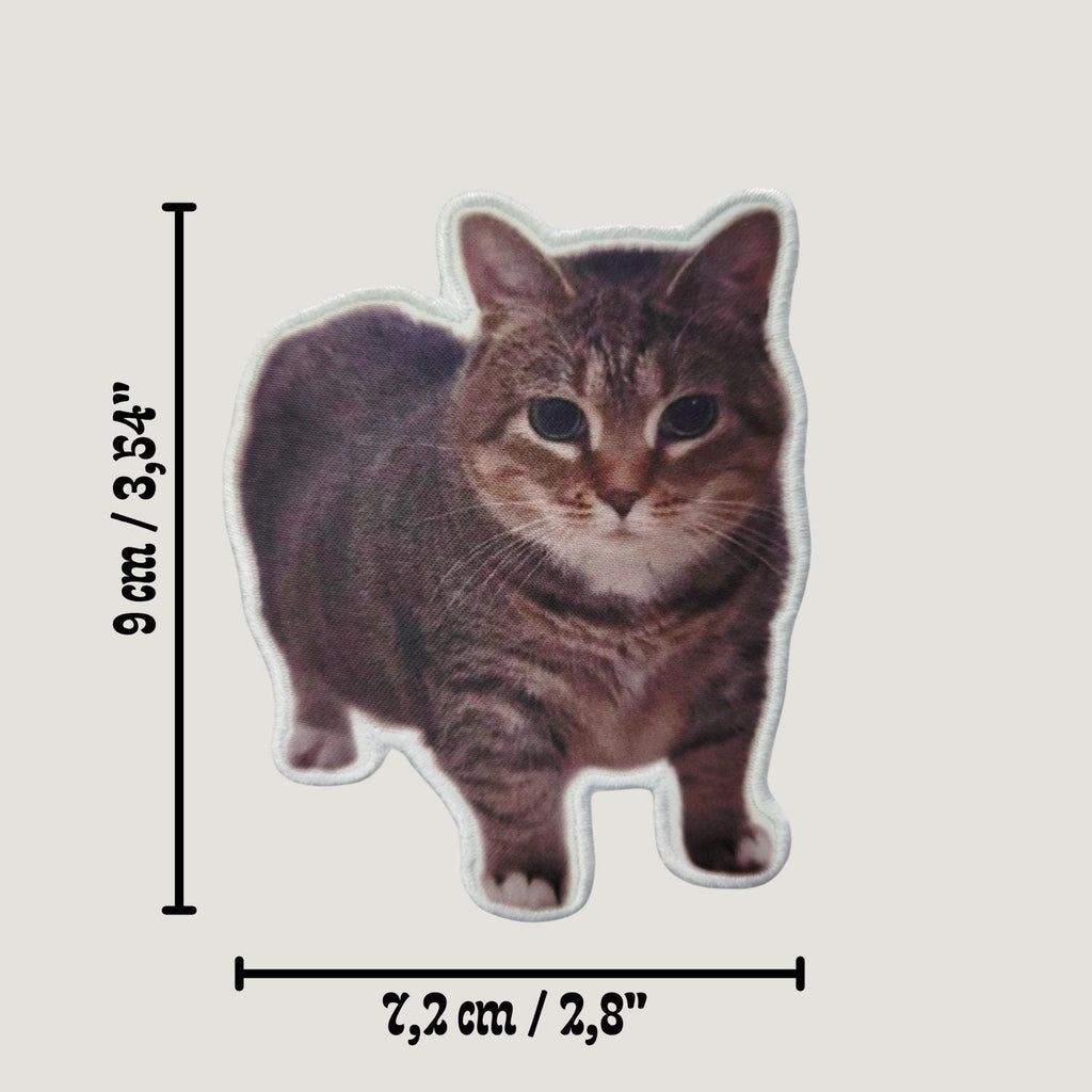 Patch "Spinning Cat Meme" (OIIA OIIA Cat)