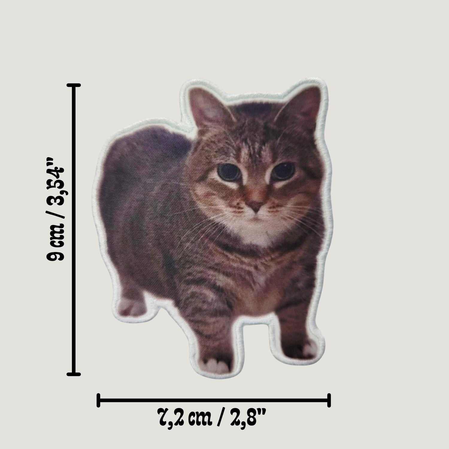 Patch "Spinning Cat Meme" (OIIA OIIA Cat)