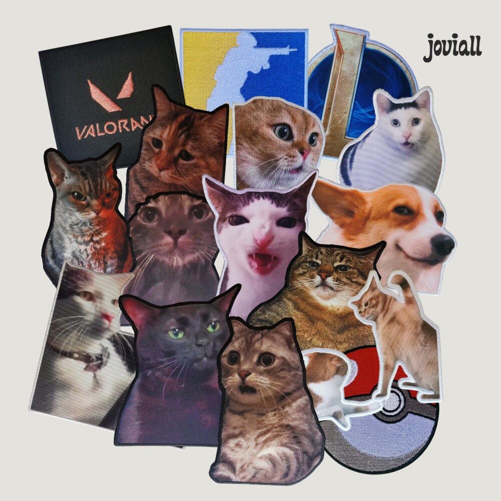 Patch "Amazed Cat"