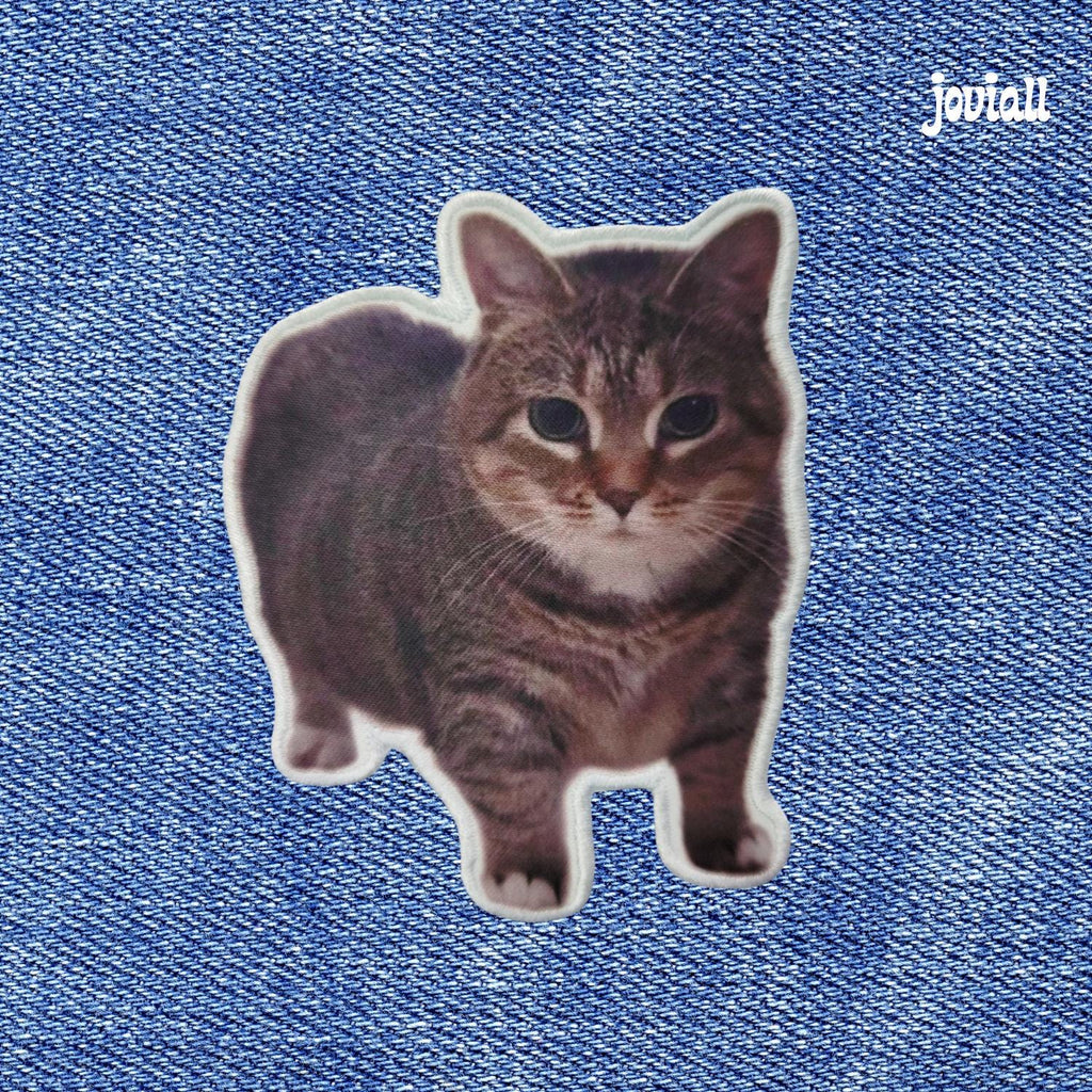 Patch "Spinning Cat Meme" (OIIA OIIA Cat)