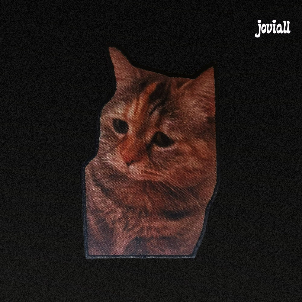 Patch "Sad Cat Meme"