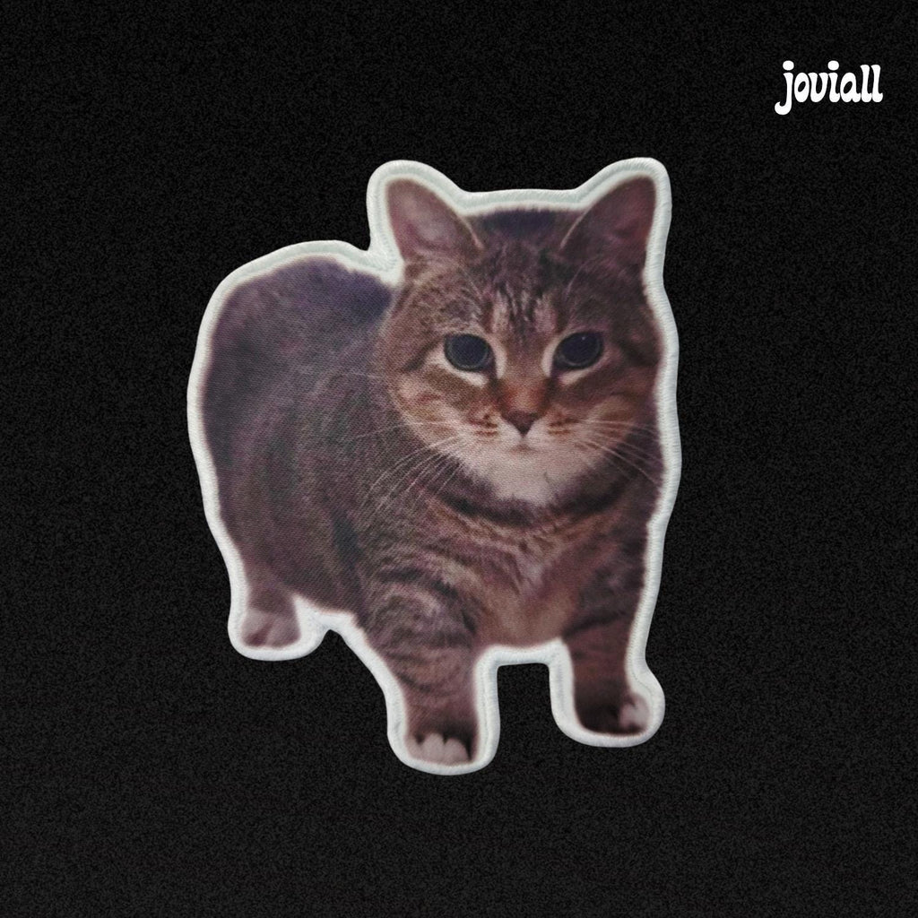 Patch "Spinning Cat Meme" (OIIA OIIA Cat)