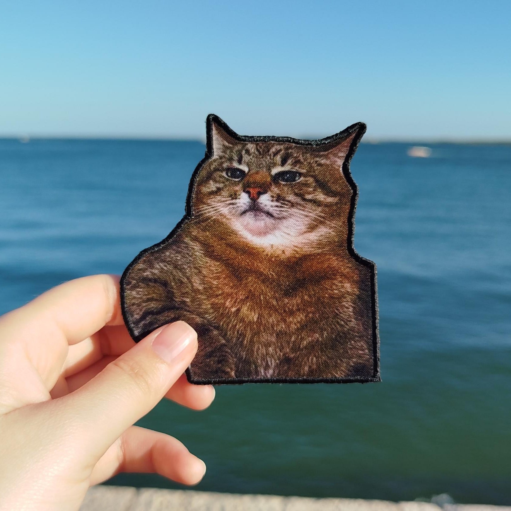 Patch "Stefan Cat"