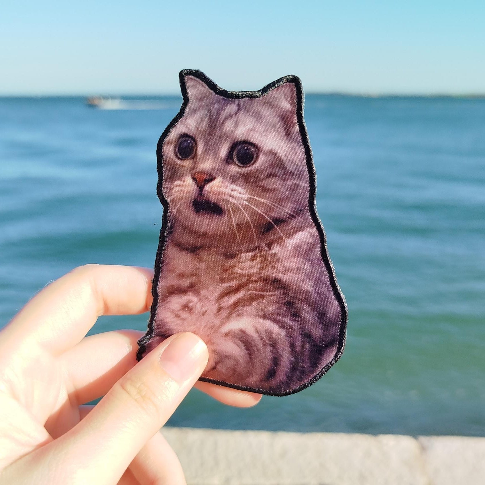 Patch "Amazed Cat"
