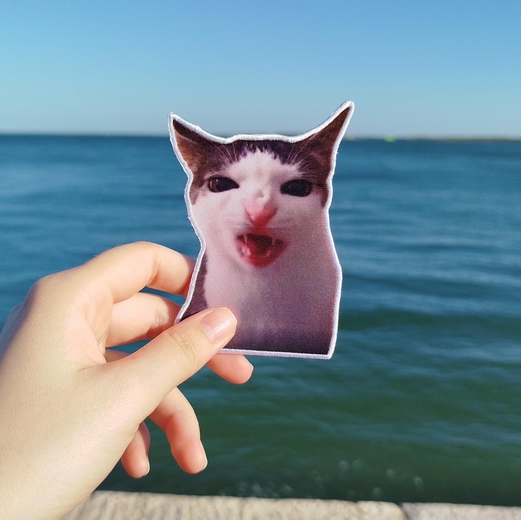Patch "Monkey Cat Luna"