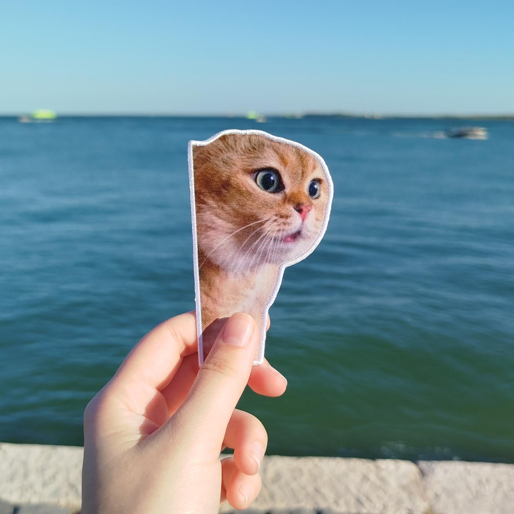Patch "Meme talking cat"